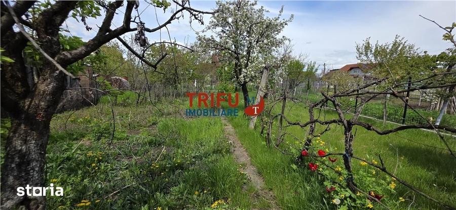 Casă cu 3 camere cu Teren 756 Mp în Micești