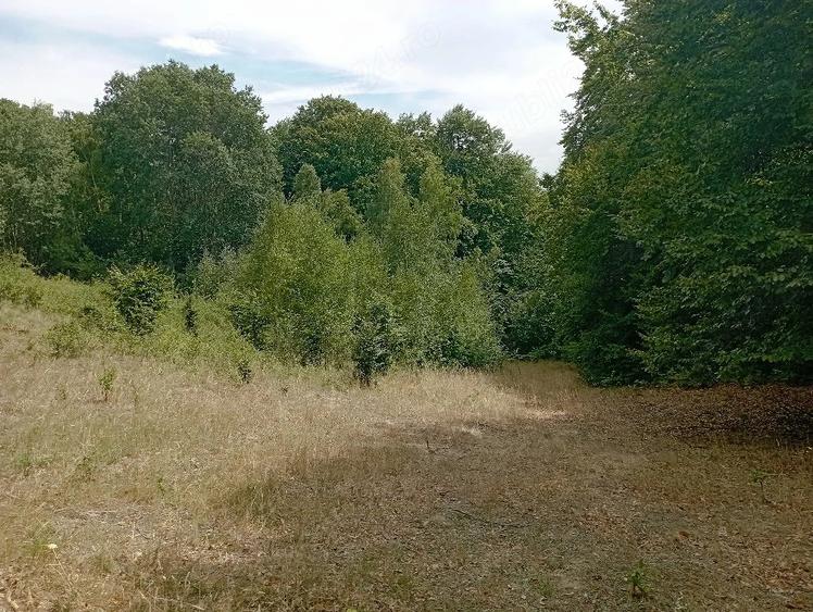 Teren de 3500 mp, în Valea Babei