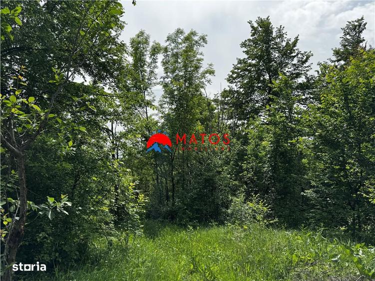 Teren intravilan 1.300 mp in Cornu de Jos, Prahova zona linistita, u - 7