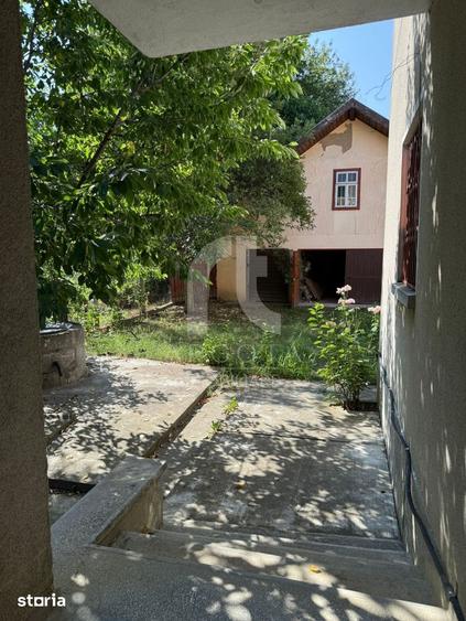 Casă cu 3 camere cu Teren 3117 Mp în Viperești