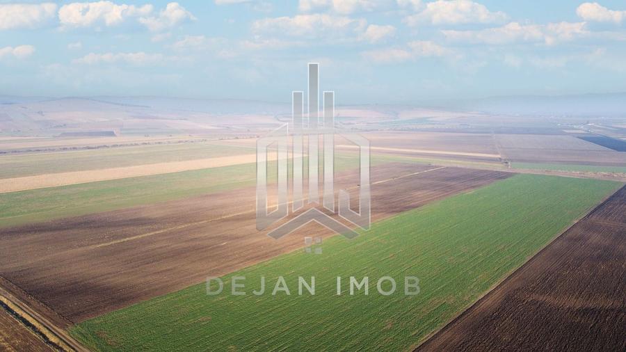 Teren agricol extravilan de 50000 mp, în Moacșa