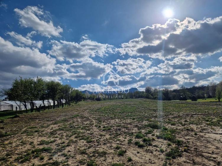 Teren Construcții extravilan de 19356 mp, în Breb