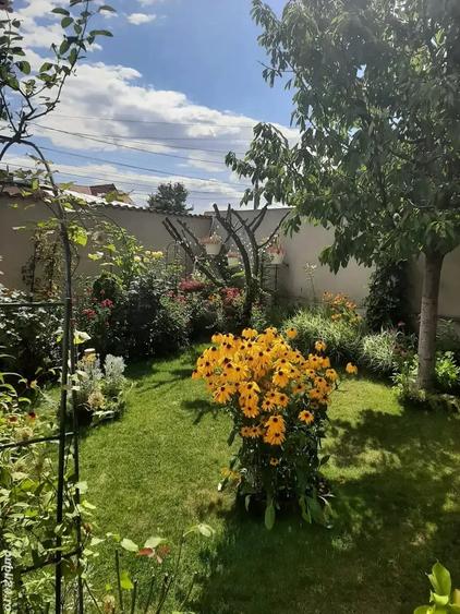 Casă cu Teren 300 Mp în Chiajna