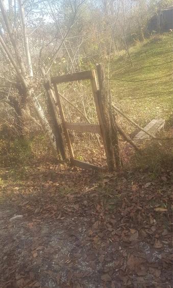 Teren de vanzare cu casa veche si livada - 5