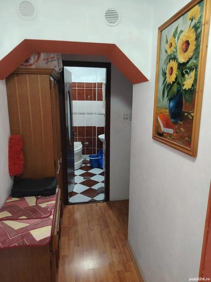 Apartament cu 2 camere decomandat în Remetea Mare