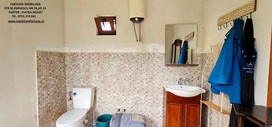 Casa P+M, foisor, anexa si 2500 mp teren, langa padure - 11
