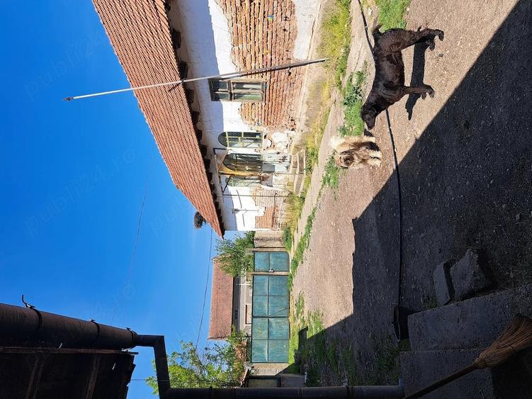 Casă cu Teren 2400 Mp în Târgoviște