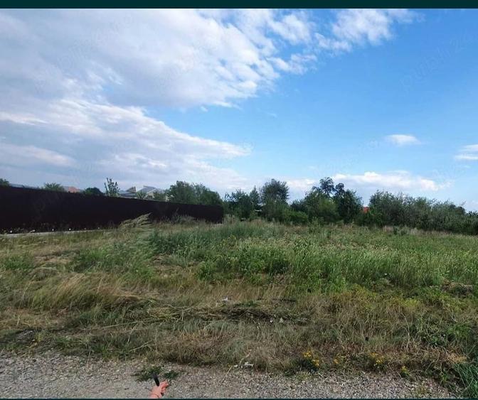 Teren de 500 mp, în Șerbănești