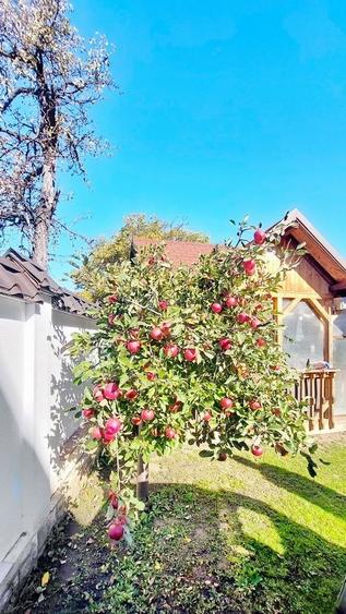 Casă individuală cu 5 camere cu Teren 425 Mp în Florilor