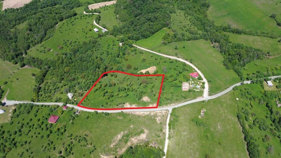 Spațiu comercial, în Codru Butesii