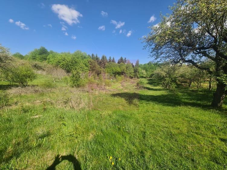 Teren Construcții intravilan de 2500 mp, în Voila