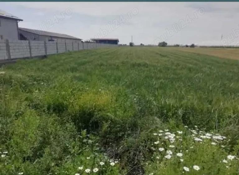 Teren de 3051 mp, în Tomșani