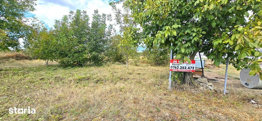 Teren intravilan Manastirea, Buftea, 500mp sau 877mp, 0% comision - 12