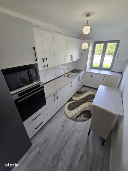 Apartament cu 2 camere în Burdea