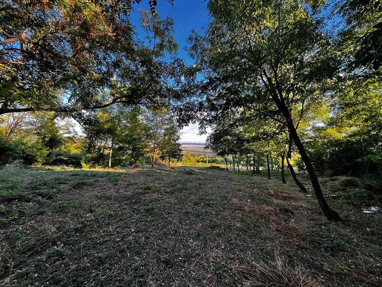 Teren Intravilan 7.593 mp | Pietroasa Mica, Buzau Panorama Spectaculoasa, Padure in Spate & Poten?