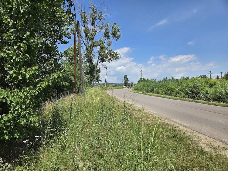 Teren de 1737 mp, în Plavia