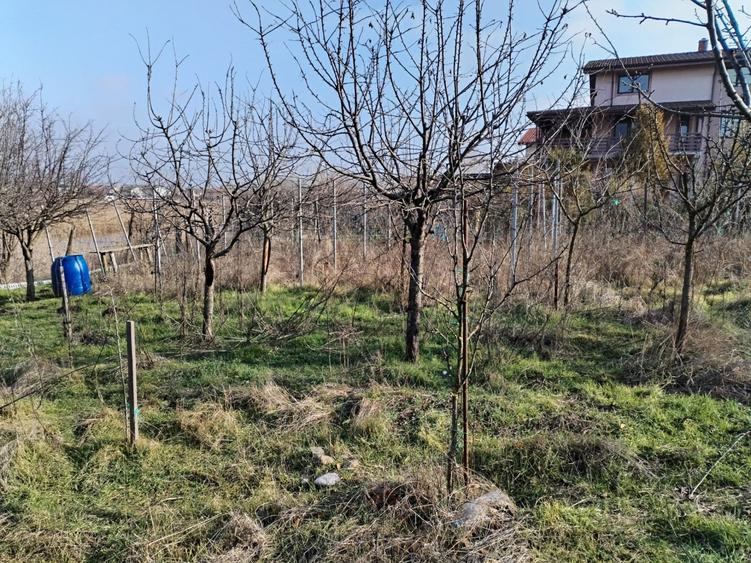 Teren intravilan de 609 mp, în Vidra