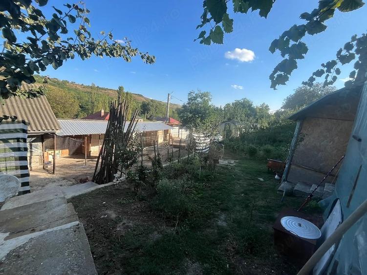 Casa de 1000m2 in Hoisesti Neamt - 5