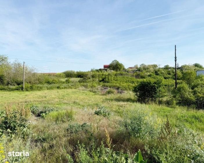 Teren de 5680 mp, în Nojorid