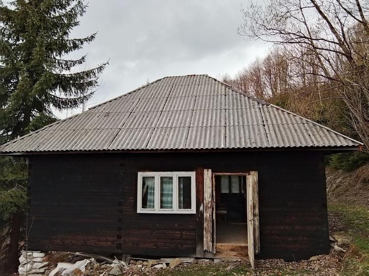 Casă cu 3 camere în Biharia
