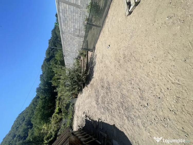 Casa de vanzare Jud Bacau Targu Ocna - 10