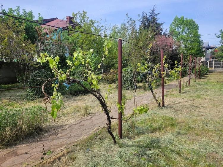 Casă cu 2 camere cu Teren 1837 Mp în Central