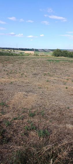 Teren de 12700 mp, în Tocileni