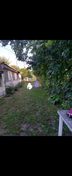 Teren de 750 mp, în Olari
