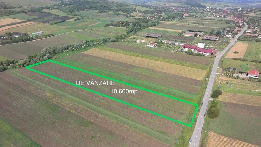 Teren de 10600 mp, în Borșa