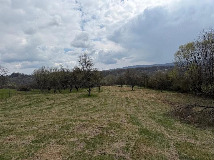 Teren de 10176 mp, în Slătioara