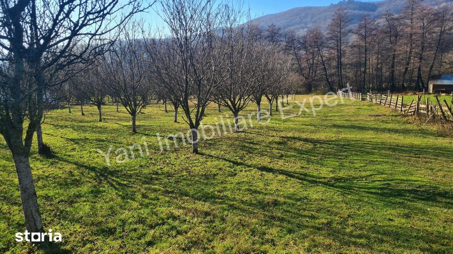 Teren de 4166 mp, în Corbi