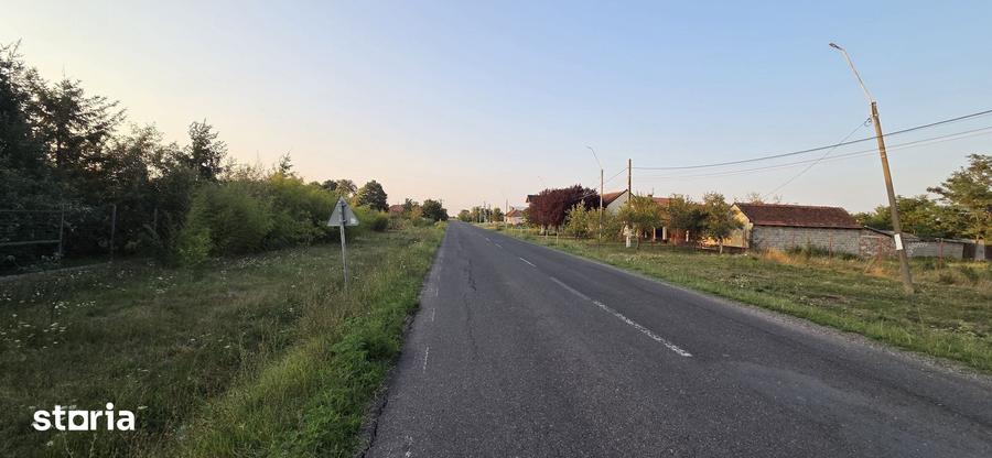 Teren de 1600 mp, în Sacoșu Turcesc