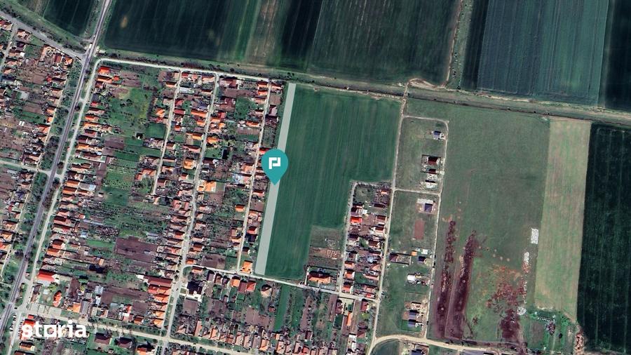 Teren de 7317 mp, în Zimandu Nou