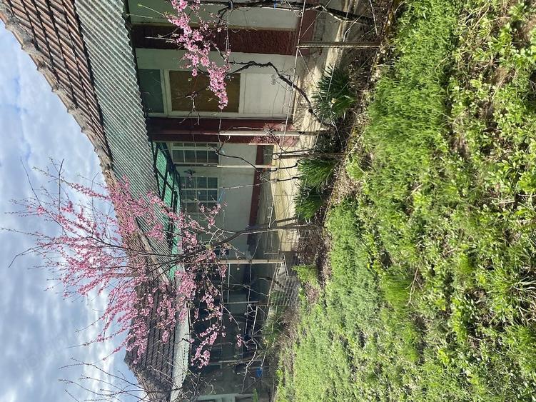 Casă cu Teren 1100 Mp în Cordău