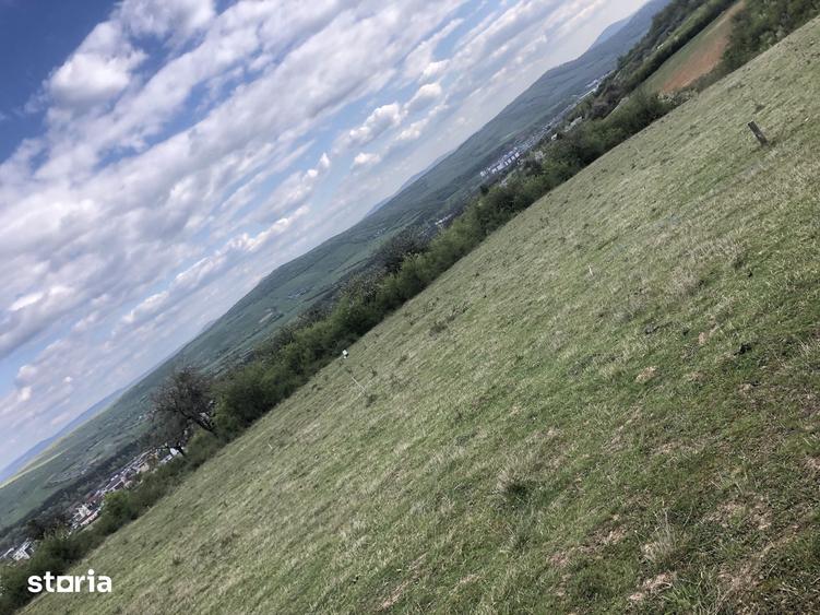Teren intravilan pentru casa 500mp vedere panoramica Aleea Trifoiului - 11