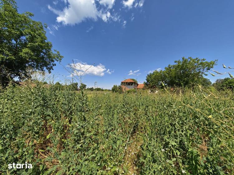 Teren de 1031 mp, în Snagov