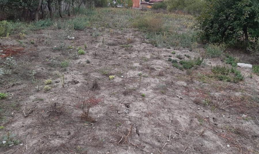 Teren Construcții intravilan de 2000 mp, în Covaci