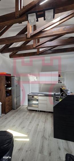 Casa zona Platinia Parcul Mare curte teren 800mp + apartament/ birou - 13