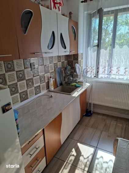 Apartament cu 3 camere în Ișalnița