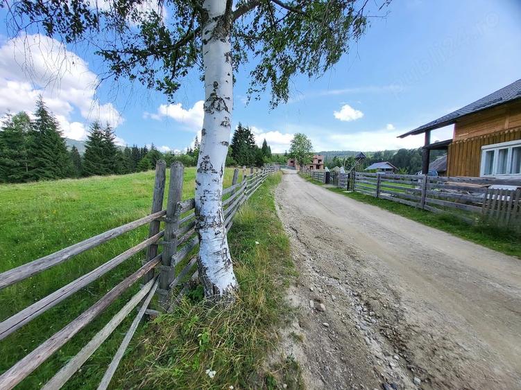 Teren de 5000 mp, în Ortoaia