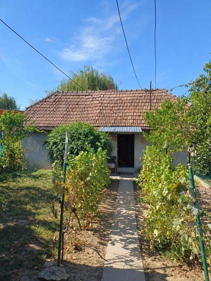 Casa de vanzare in Beltiug - 3