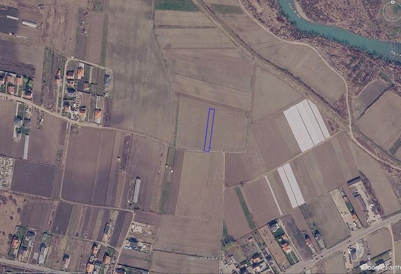 Teren de 1000 mp, în Viișoara