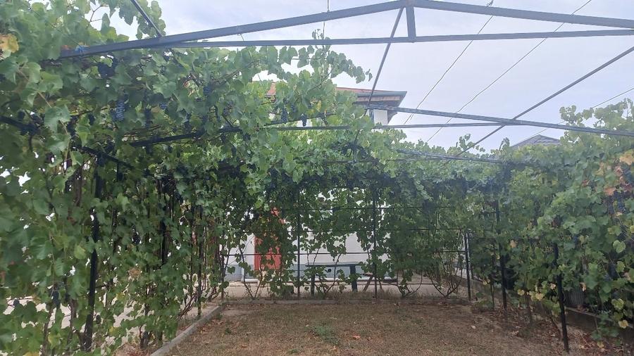 Casă individuală cu 5 camere cu Teren 4200 Mp în Adunații-Copăceni