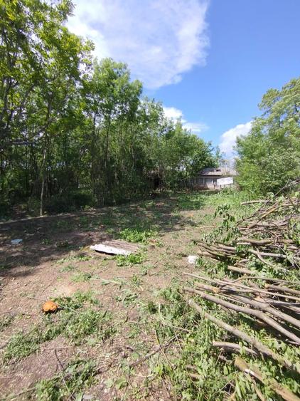 Casă cu 2 camere în Ologeni