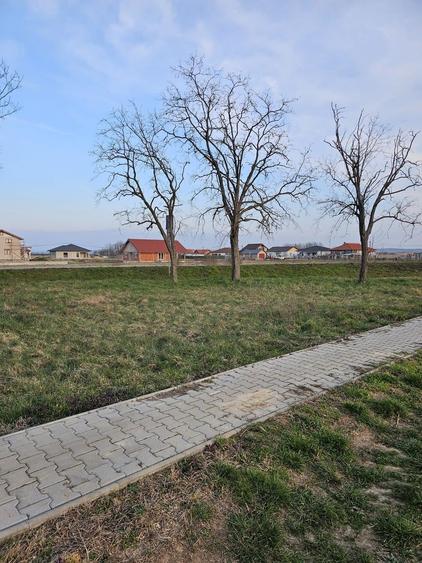 Teren agricol extravilan de 21600 mp, în Satu Nou