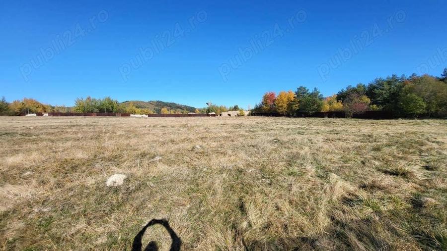 Campulung, terenuri Grui, Flamanda, Valea Romanestilor si Schitu Golesti-proprietar - 2