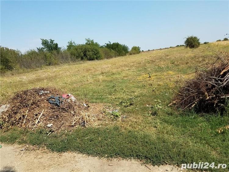 Teren de 1800 mp, în Letca Nouă
