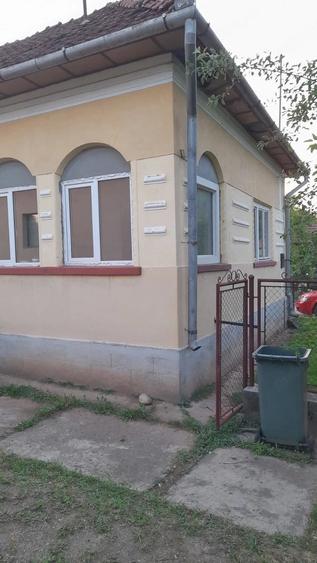 Casă cu 2 camere cu Teren 1567 Mp în Trestia