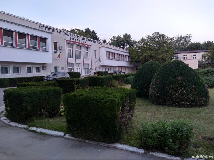 Teren de 35000 mp, în Central