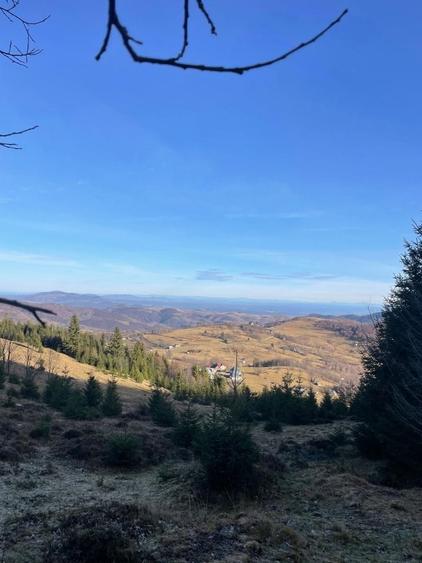 Teren de 3617 mp, în Rogojel